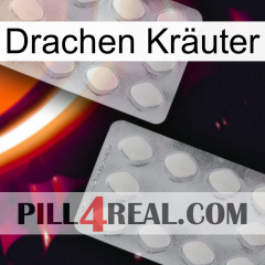 Drachen Kräuter 17